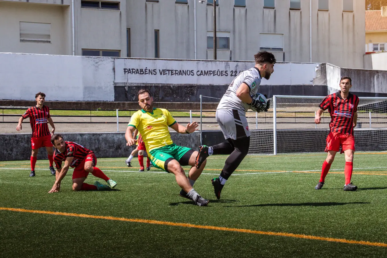 Imagem de destaque 17